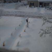 Total Snow