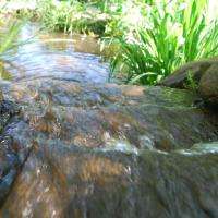 Waterfall FPS