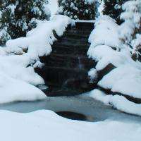 Snowy Pond