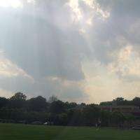 Rays of Sun