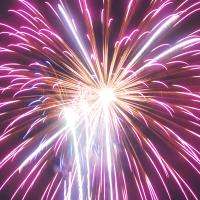Pink Fireworks