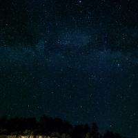 Dark Stars